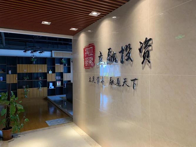 合肥立融投資管理與豪業(yè)投資 解析兩家機構(gòu)的業(yè)務(wù)特色與市場定位